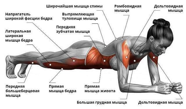 Улучшение осанки и снятие болей в спине с помощью упражнения 