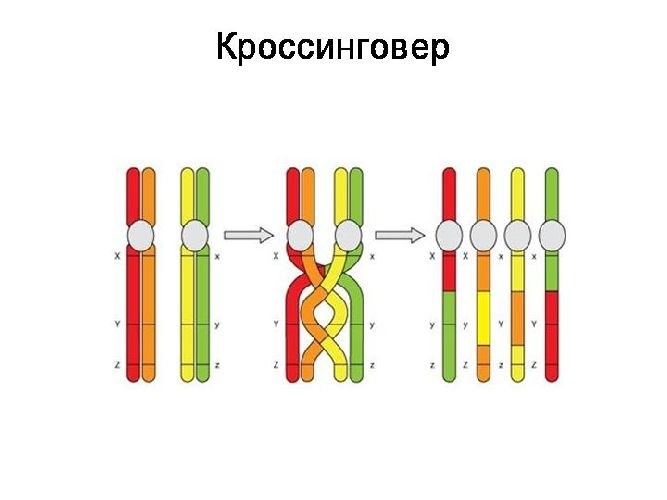 Что мы узнали?