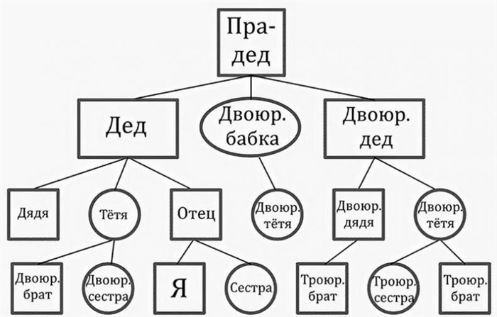 Определение сводных братьев и сестер