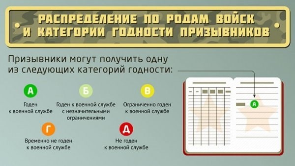 Что такое категории годности и как их определяют