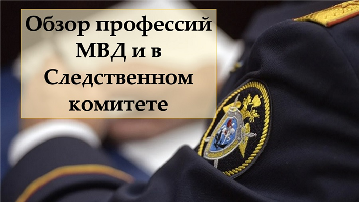 Какой диплом нужен для работы в МВД?