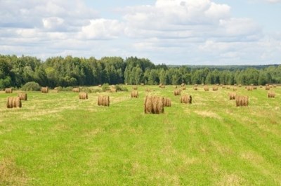 Субъекты и основания для перевода земельного участка в собственность