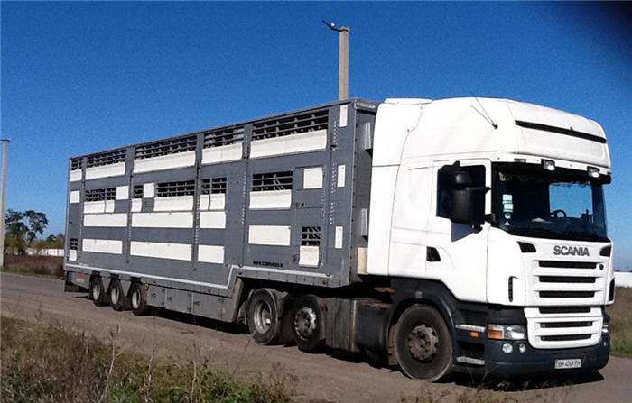 Документы, необходимые для транспортировки мяса